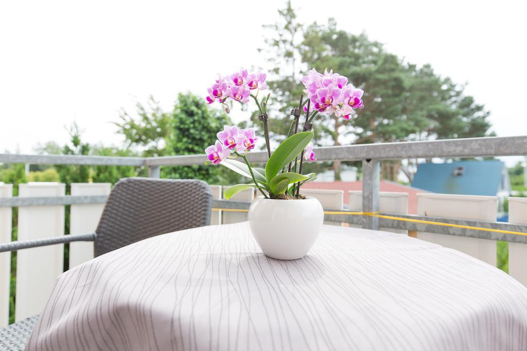 Hotel Garni Am Deich Ostseeheilbad Ostseeheilbad Zingst Zimmer foto